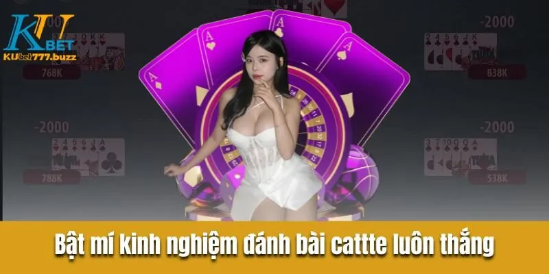 Bài Catte Kubet777 - Những Bí Kíp Phá Đảo Từ Các Chuyên Gia Bật mí kinh nghiệm đánh bài cattte tại Kubet777 luôn thắng