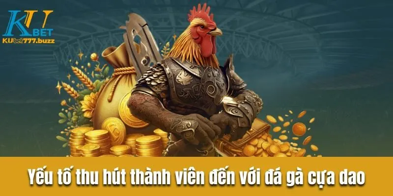Đá gà cựa dao - Hình thức cược hấp dẫn vạn người mê Khám phá yếu tố thu hút thành viên đến với đá gà cựa dao
