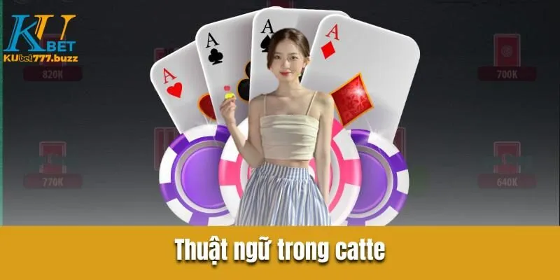 Bài Catte Kubet777 - Những Bí Kíp Phá Đảo Từ Các Chuyên Gia Những thuật ngữ trong bài catte