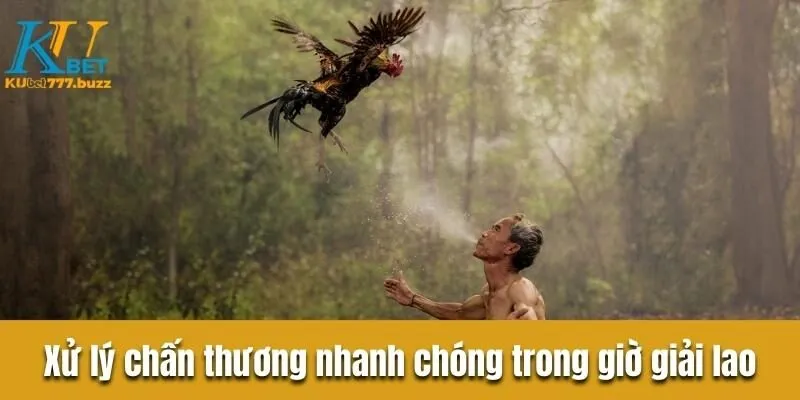 Tìm hiểu đá gà c1 là gì? Khám phá quy tắc sảnh chơi đá gà Xử lý chấn thương nhanh chóng trong giờ giải lao